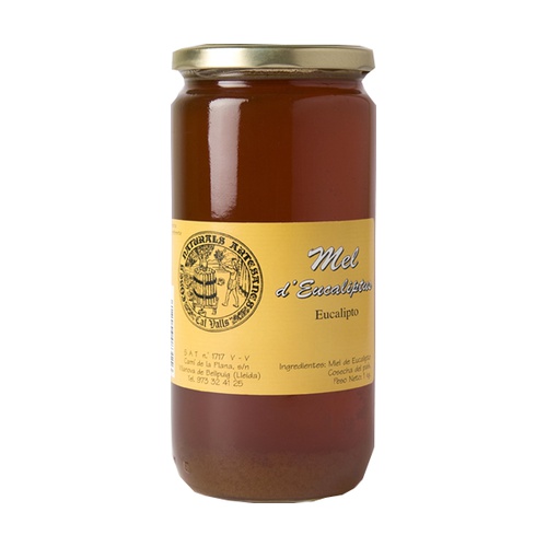 Miel Eucalipto 1Kg Cal Valls